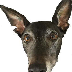 Fundraising Page: les Salas